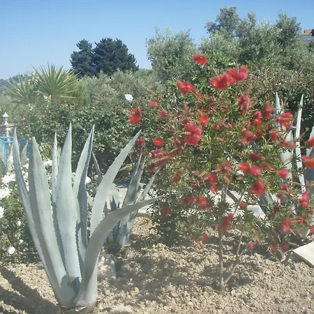 아파트호텔 Seaview 4*